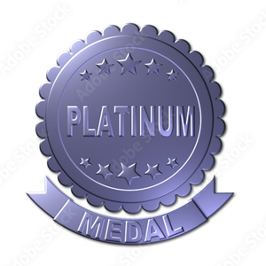 PLATINUM SPONSOR