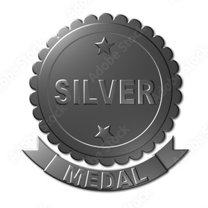 SILVER SPONSOR